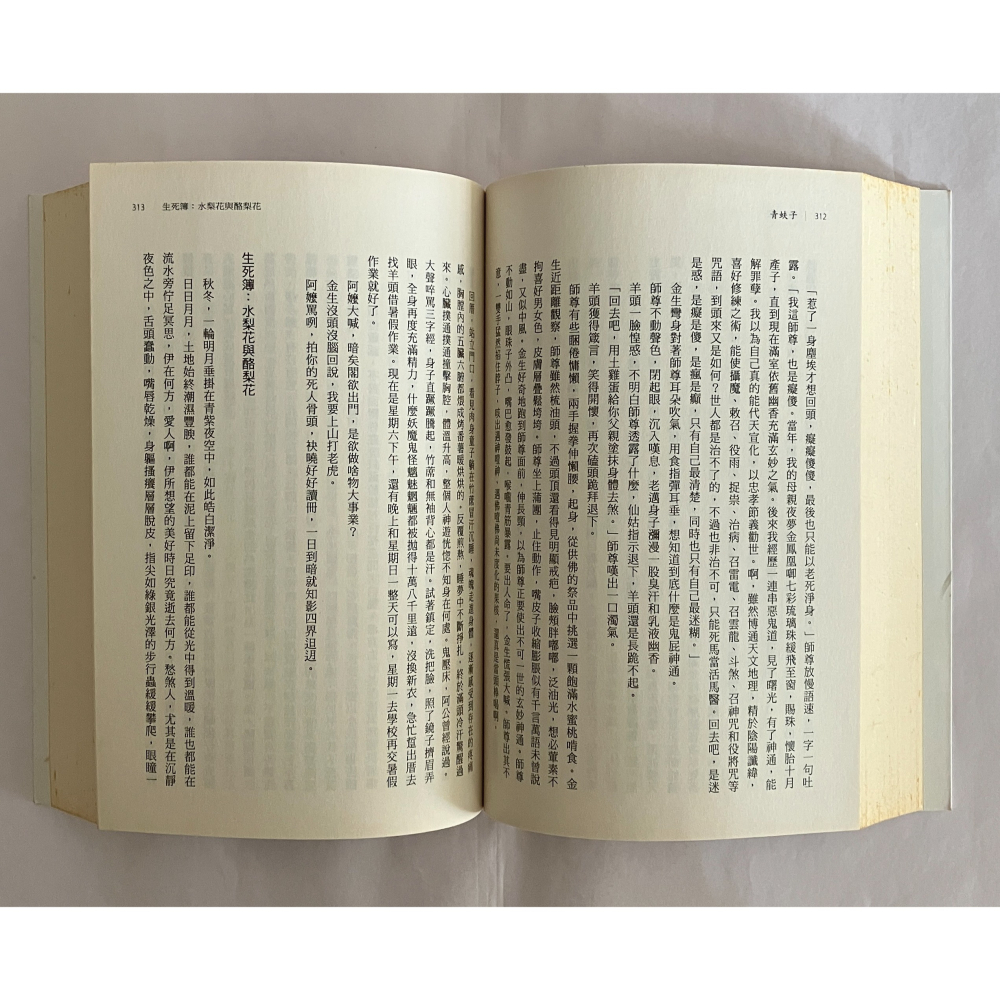 哲美系_《青蚨子》連明偉 著 印刻出版-細節圖6