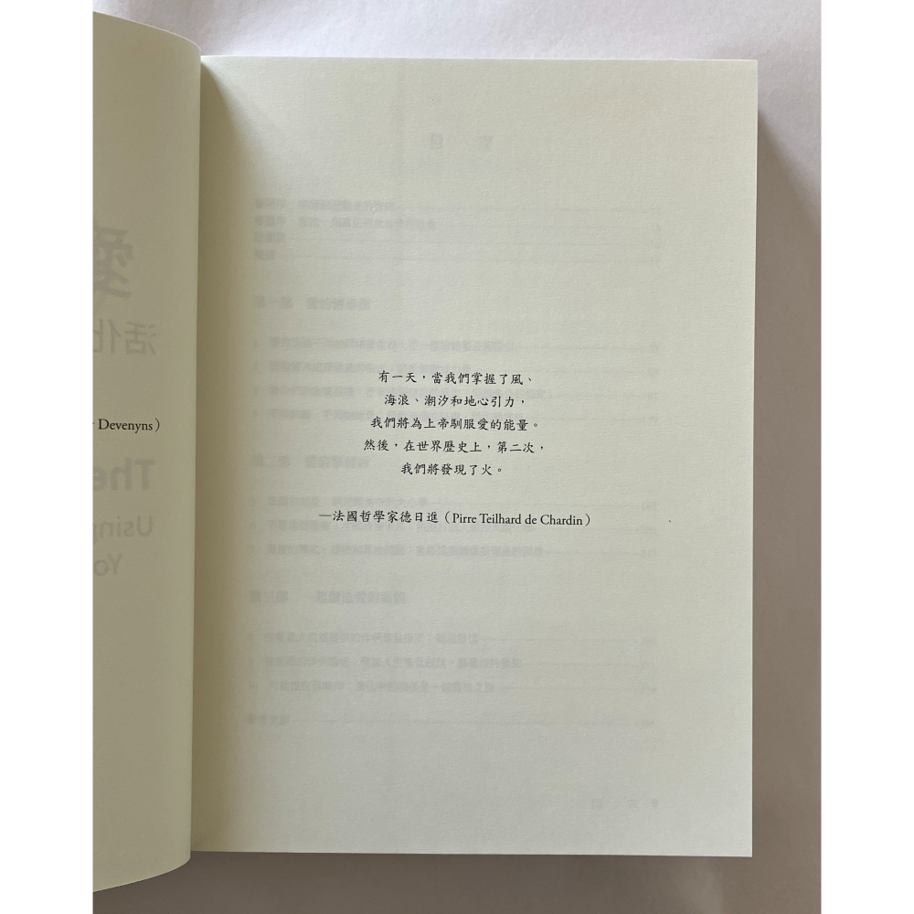 哲美系_《愛的能量：活化親密關係的能量療法》 唐娜．伊頓, 大衛．費恩斯坦 著 丁凡 譯 心靈工坊-細節圖4
