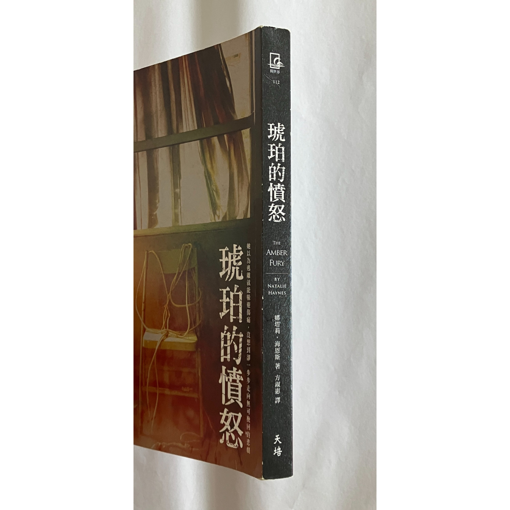 哲美系_《琥珀的憤怒》娜塔莉·海恩斯 著 方淑惠 譯 天培文化-細節圖2