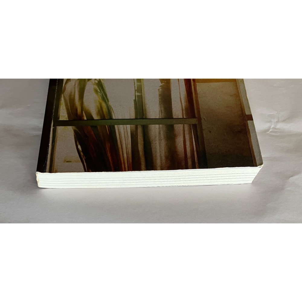 哲美系_《琥珀的憤怒》娜塔莉·海恩斯 著 方淑惠 譯 天培文化-細節圖3