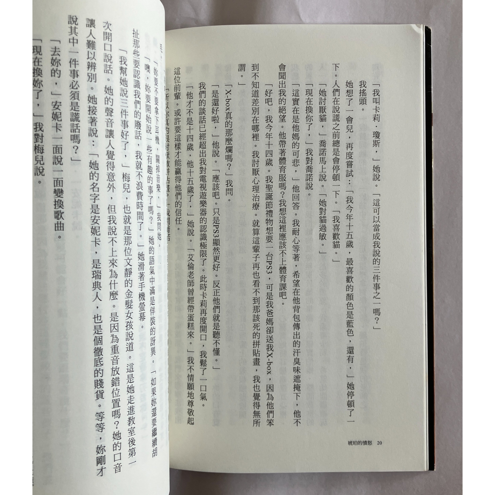 哲美系_《琥珀的憤怒》娜塔莉·海恩斯 著 方淑惠 譯 天培文化-細節圖5