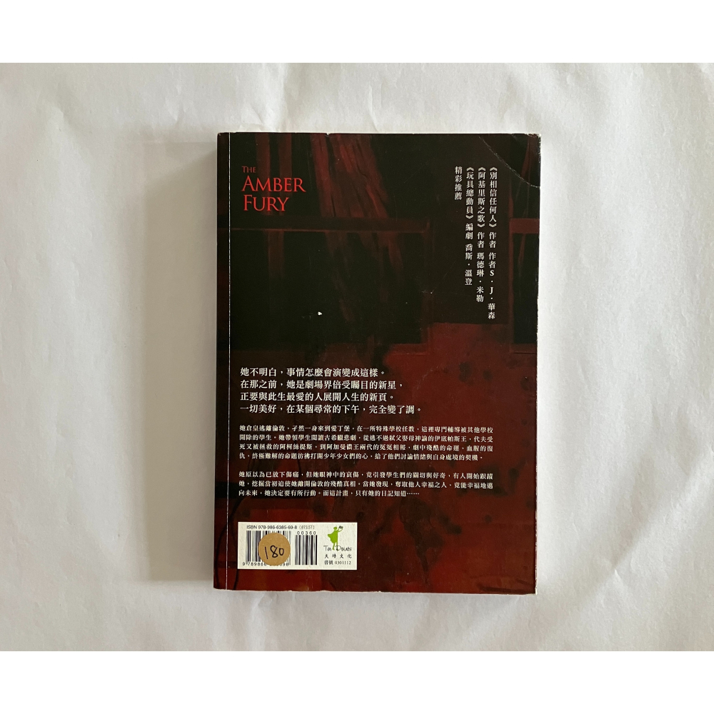 哲美系_《琥珀的憤怒》娜塔莉·海恩斯 著 方淑惠 譯 天培文化-細節圖6