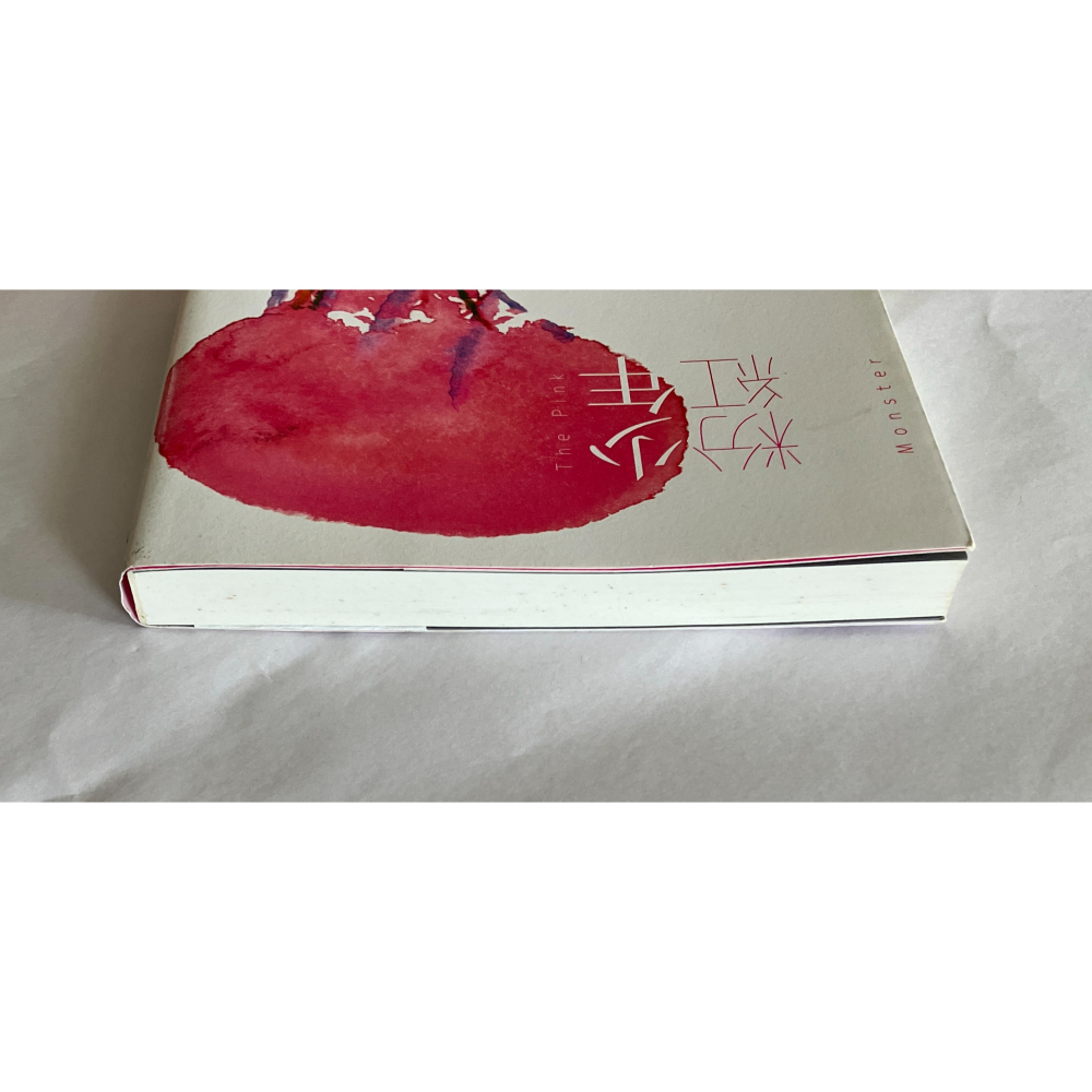 哲美系_《少年粉紅》詩人 潘柏霖 首部小說作品  尖端出版-細節圖2