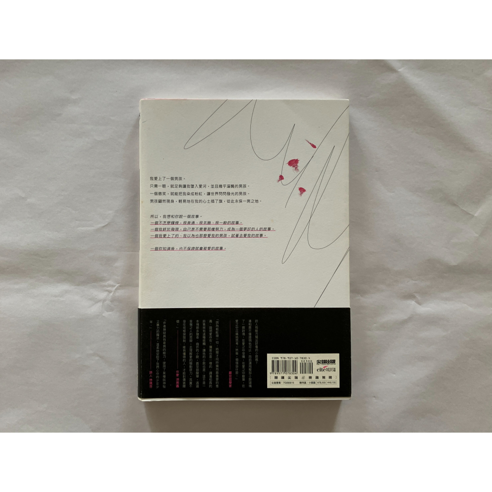 哲美系_《少年粉紅》詩人 潘柏霖 首部小說作品  尖端出版-細節圖6