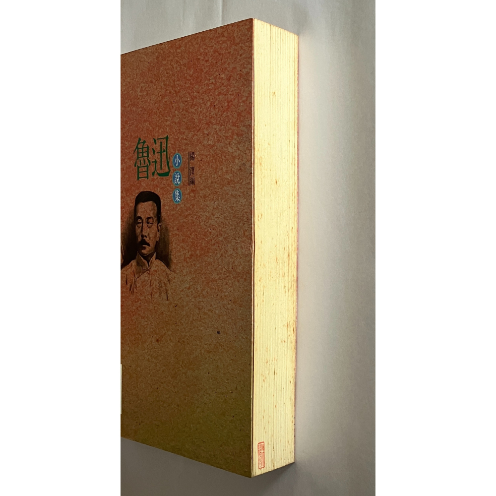 哲美系_《魯迅小說集》楊澤 編 洪範書店-細節圖2