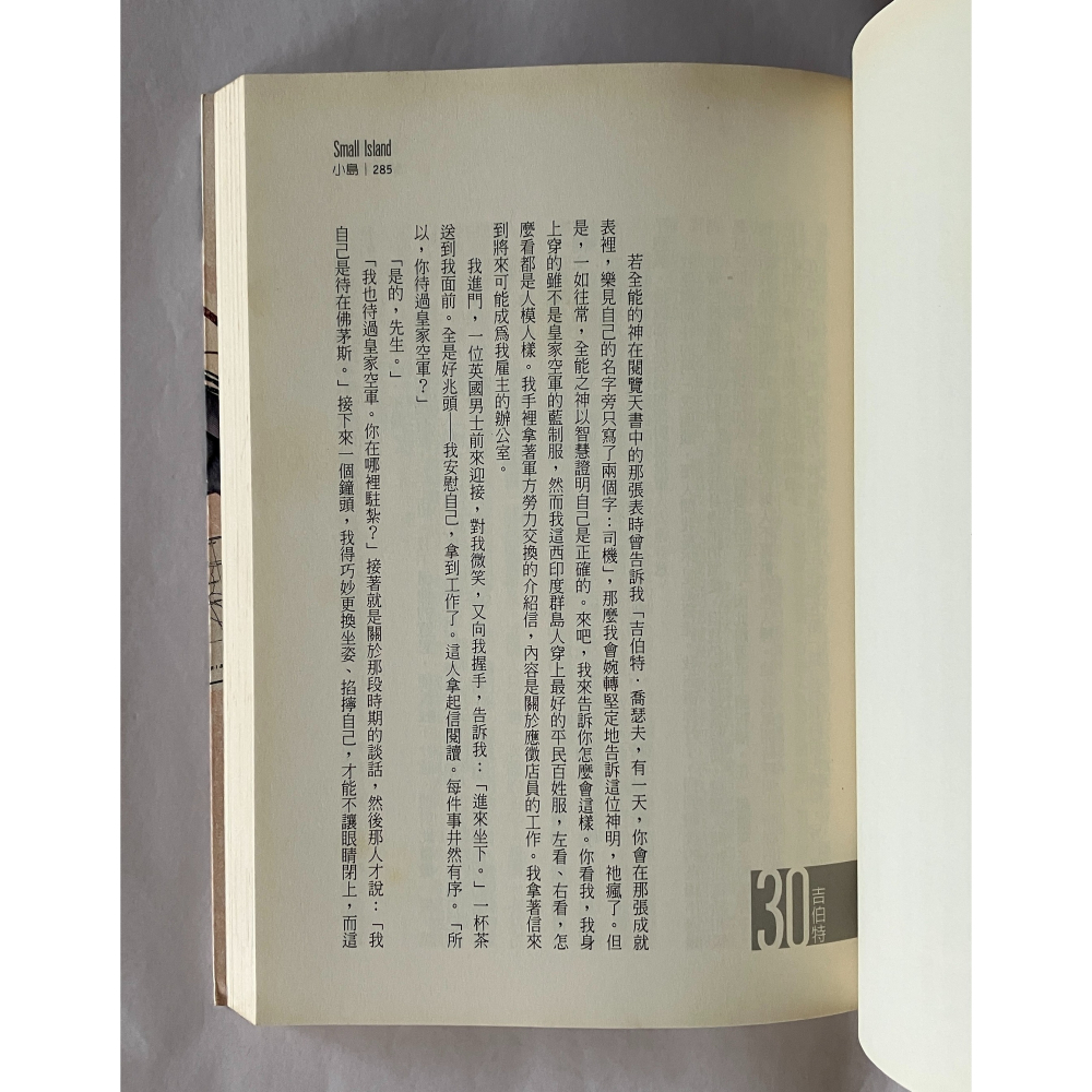 哲美系_《小島》安卓利亞·勒維 著 陳敬旻 譯 麥田出版-細節圖6