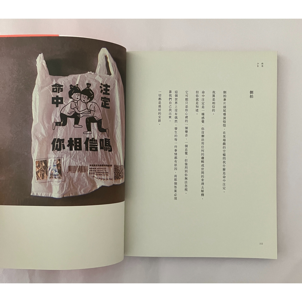 哲美系_《再見少女》但願我能喜歡愛上你的那個自己 柯佳嬿 著 重版文化整合事業-細節圖8