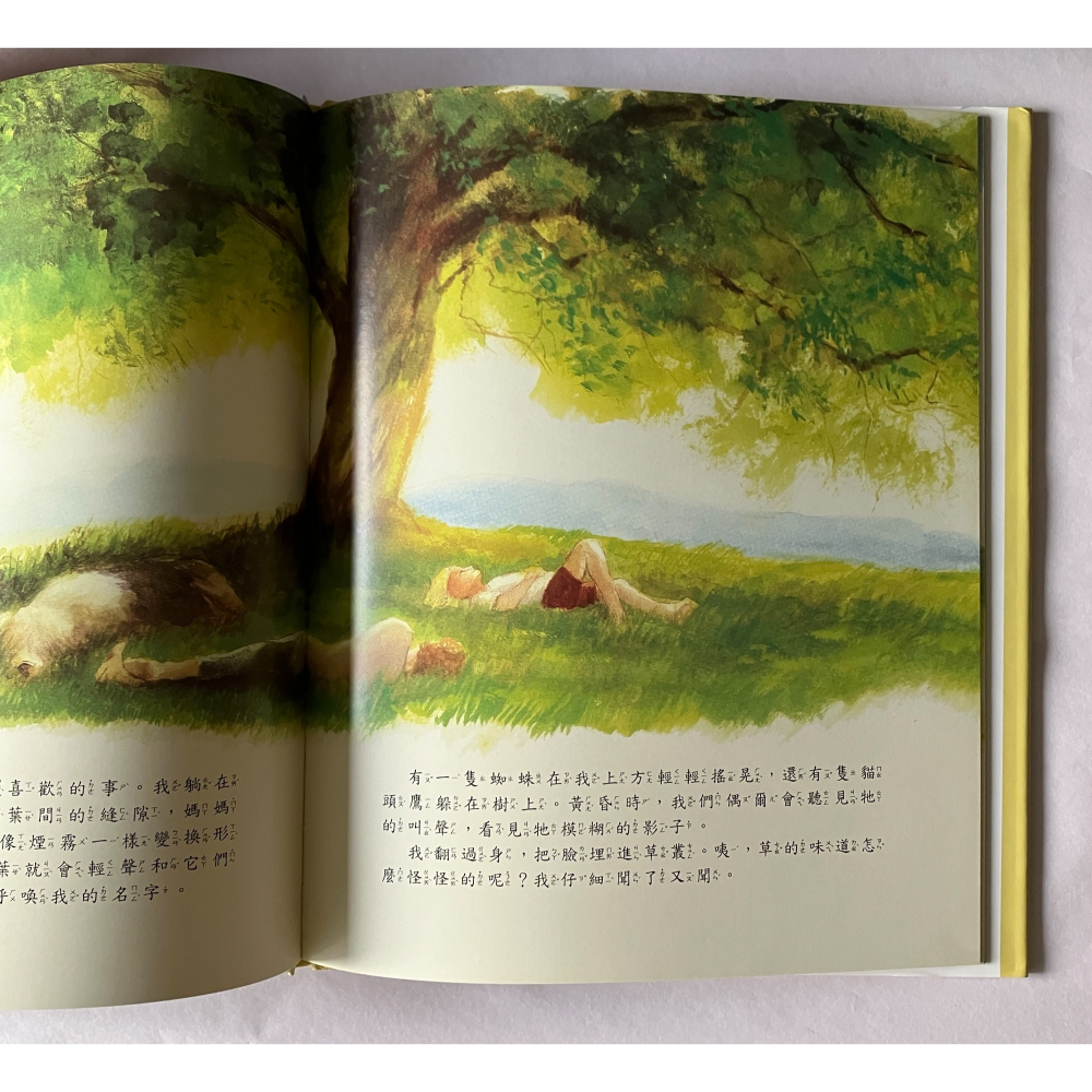 哲美系_《艾莉絲的樹》伊芙·邦婷/文 羅奈德·希姆勒/圖 劉清彥/譯 道聲出版社-細節圖4