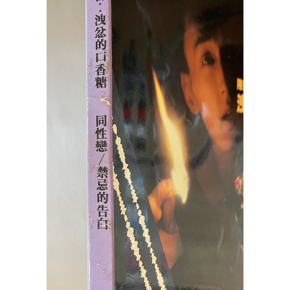 哲美系_《人間雜誌 33 陳映真報告:洩忿的口香糖 同性戀的愛與婚姻 兒童惡待追蹤報導 黃順興砲打北京人大》-細節圖7
