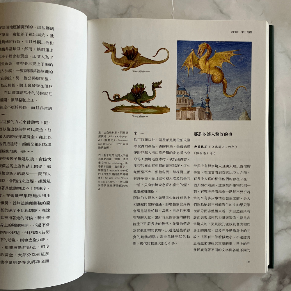 哲美系_《異境之書》安伯托‧艾可最後人文藝術巨作 林潔盈 譯 聯經出版-細節圖6