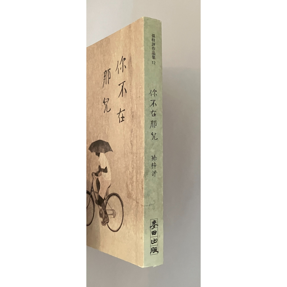 哲美系_詩集《你不在那兒（顯靈版）》孫梓評 著 阿尼默 封面 麥田出版-細節圖2