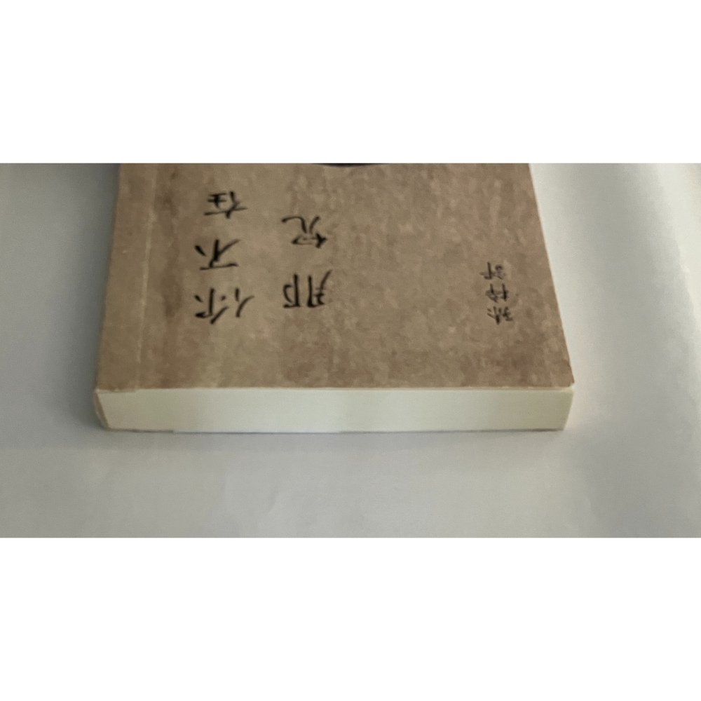 哲美系_詩集《你不在那兒（顯靈版）》孫梓評 著 阿尼默 封面 麥田出版-細節圖3