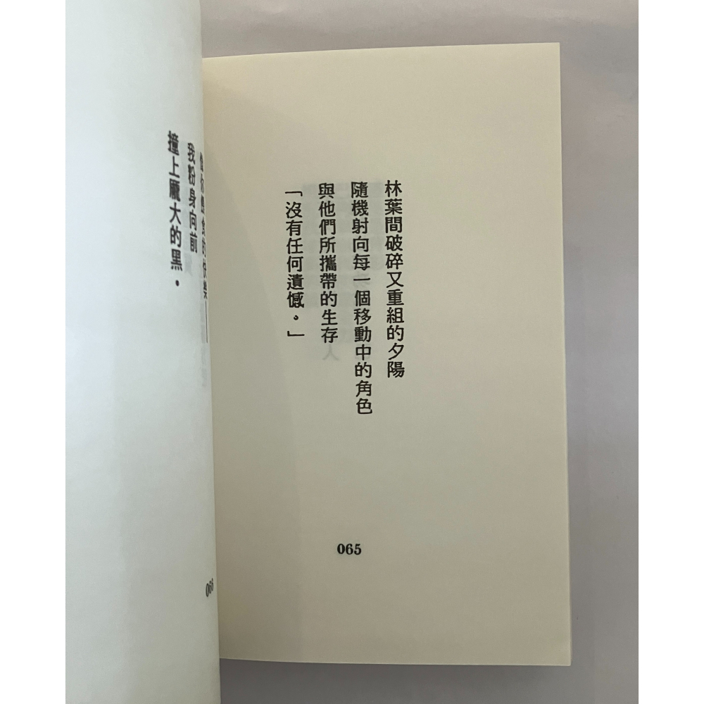 哲美系_詩集《你不在那兒（顯靈版）》孫梓評 著 阿尼默 封面 麥田出版-細節圖5