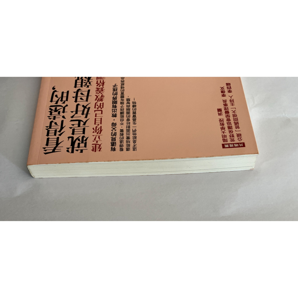 哲美系_《看得遠的，就是好母親：建立你自己的教養格調》番紅花 著 圓神出版-細節圖3