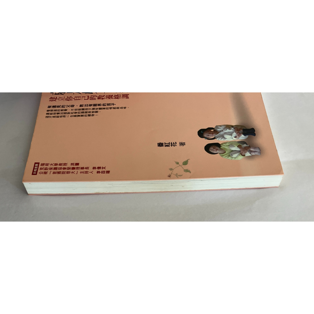 哲美系_《看得遠的，就是好母親：建立你自己的教養格調》番紅花 著 圓神出版-細節圖4