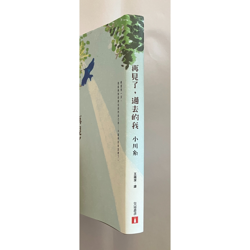 哲美系_《再見了，過去的我》小川糸 著 王蘊潔 譯 皇冠文化-細節圖2