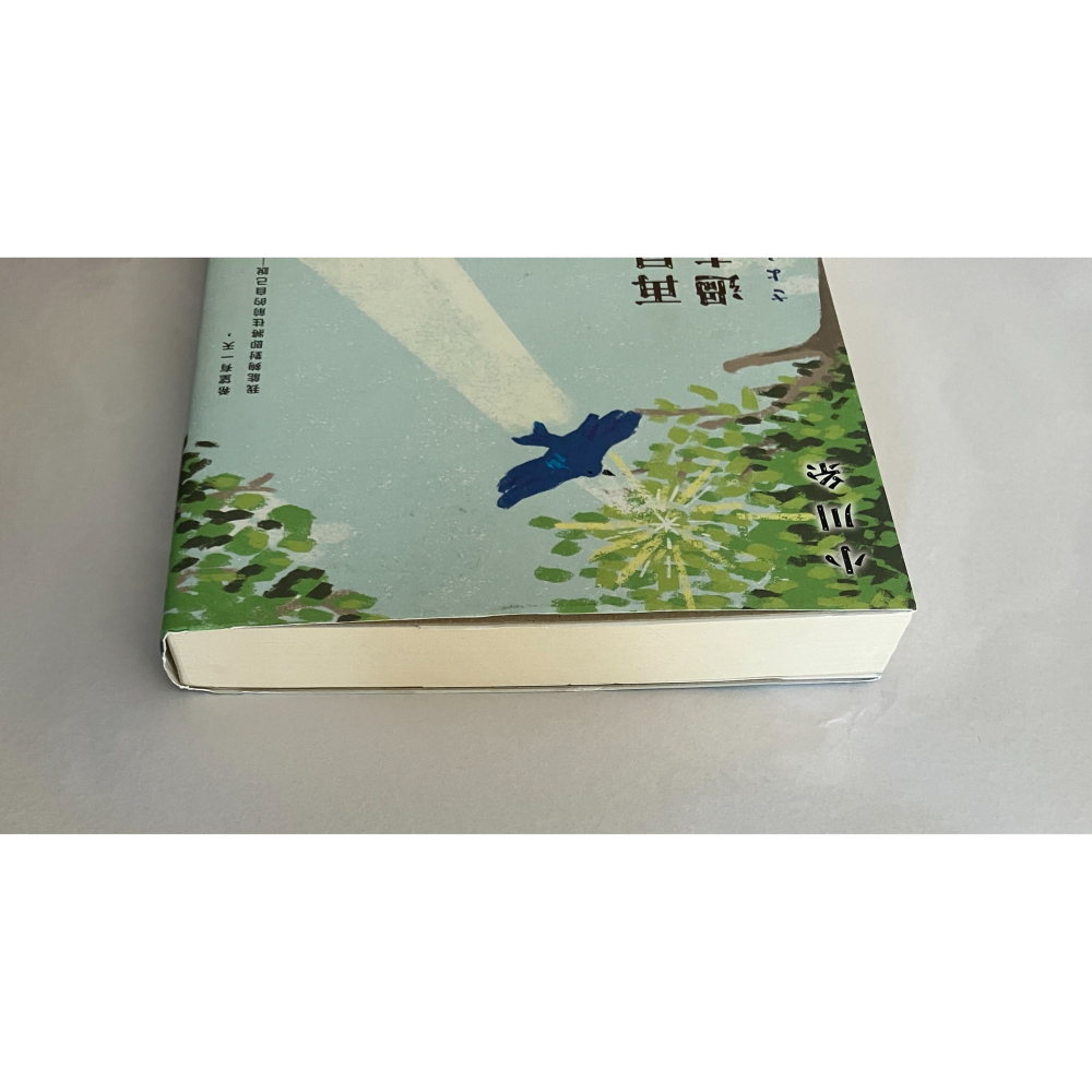 哲美系_《再見了，過去的我》小川糸 著 王蘊潔 譯 皇冠文化-細節圖3