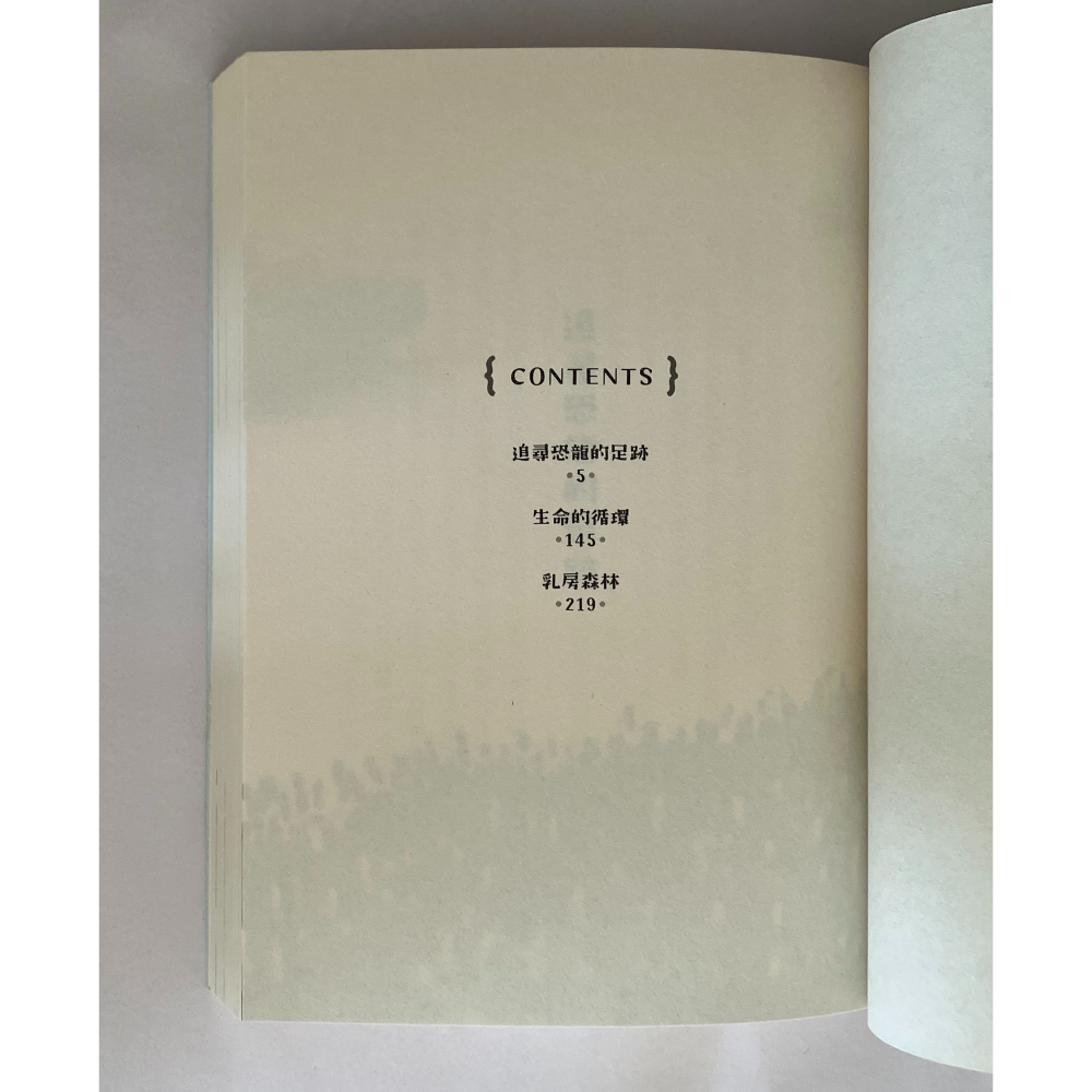 哲美系_《再見了，過去的我》小川糸 著 王蘊潔 譯 皇冠文化-細節圖5