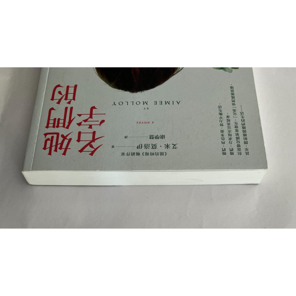 哲美系_《她們的名字》艾米·莫若伊 著 康學慧 譯 春光出版-細節圖2