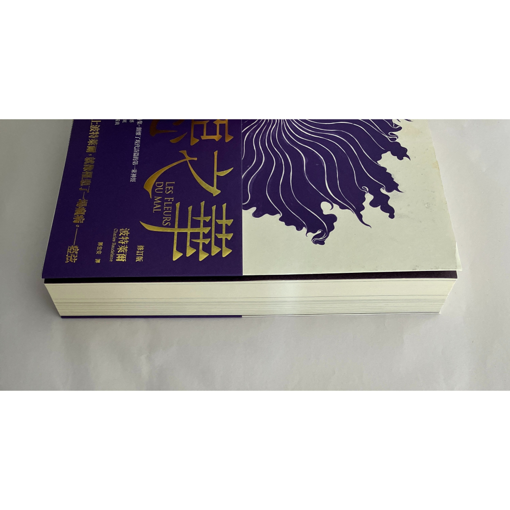 哲美系_《惡之華》修訂版 夏爾．皮埃爾．波特萊爾 著 郭宏安 譯 新雨出版-細節圖3
