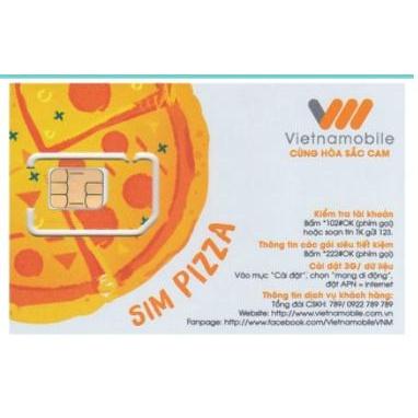 越南吃到飽 免登記  越南10天30GB  4G上網卡 越南 4G 原生卡 附門號 全境內 吃到飽 南北越-細節圖3