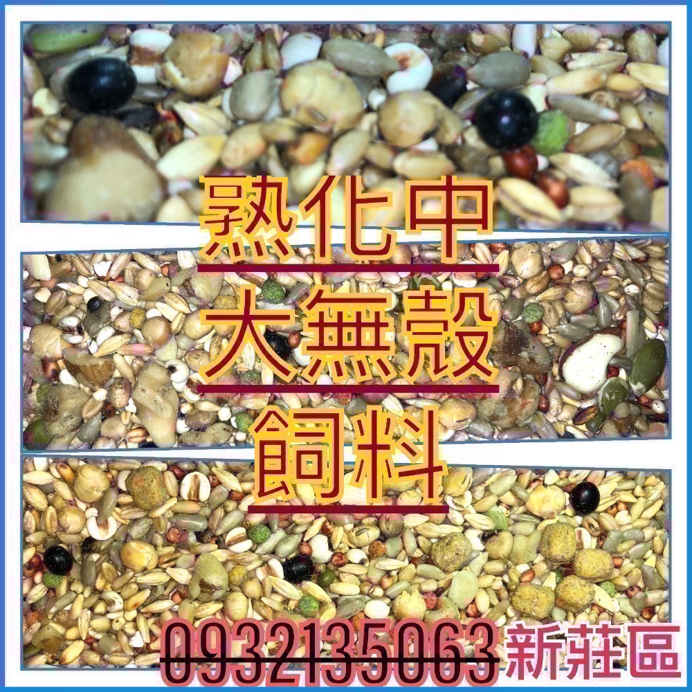 鸚鵡堡～炒熟無殼飼料（3斤真空）優惠組1組3包-細節圖2