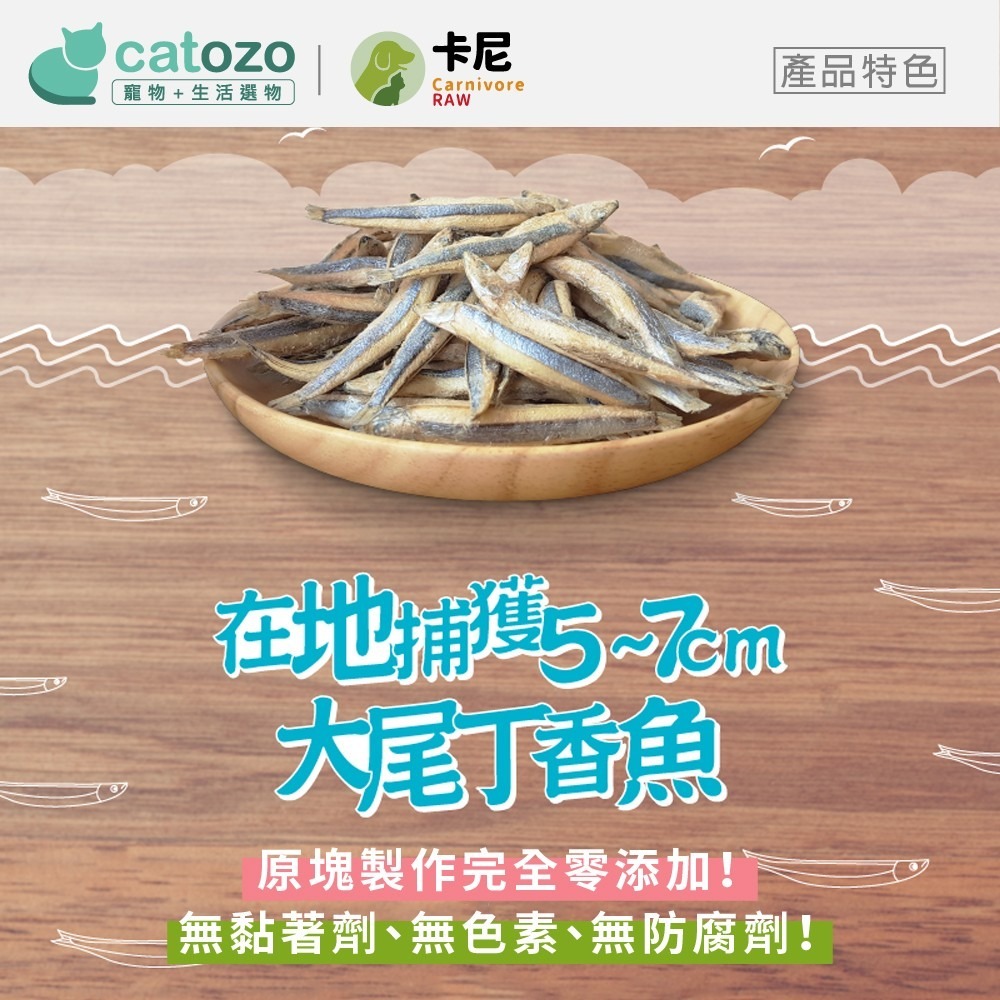 【Catozo】卡尼 澎湖海味丁香魚凍乾-細節圖6
