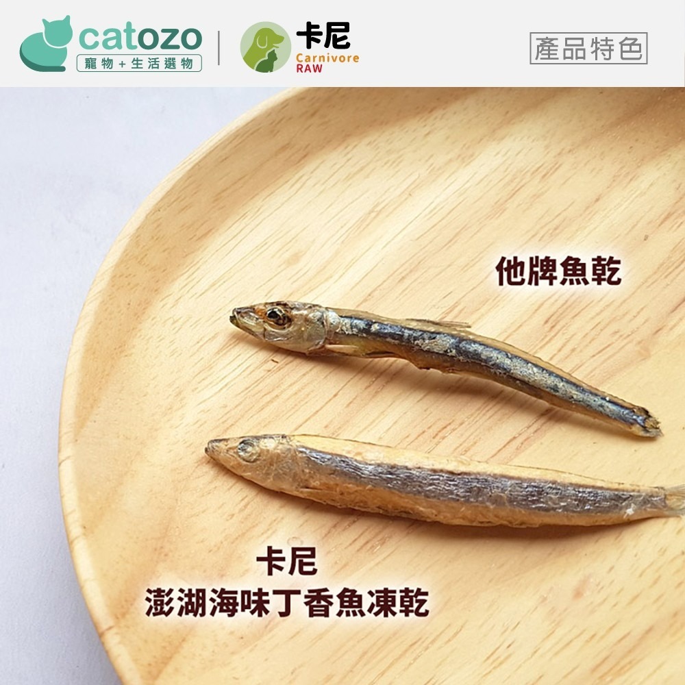 【Catozo】卡尼 澎湖海味丁香魚凍乾-細節圖7