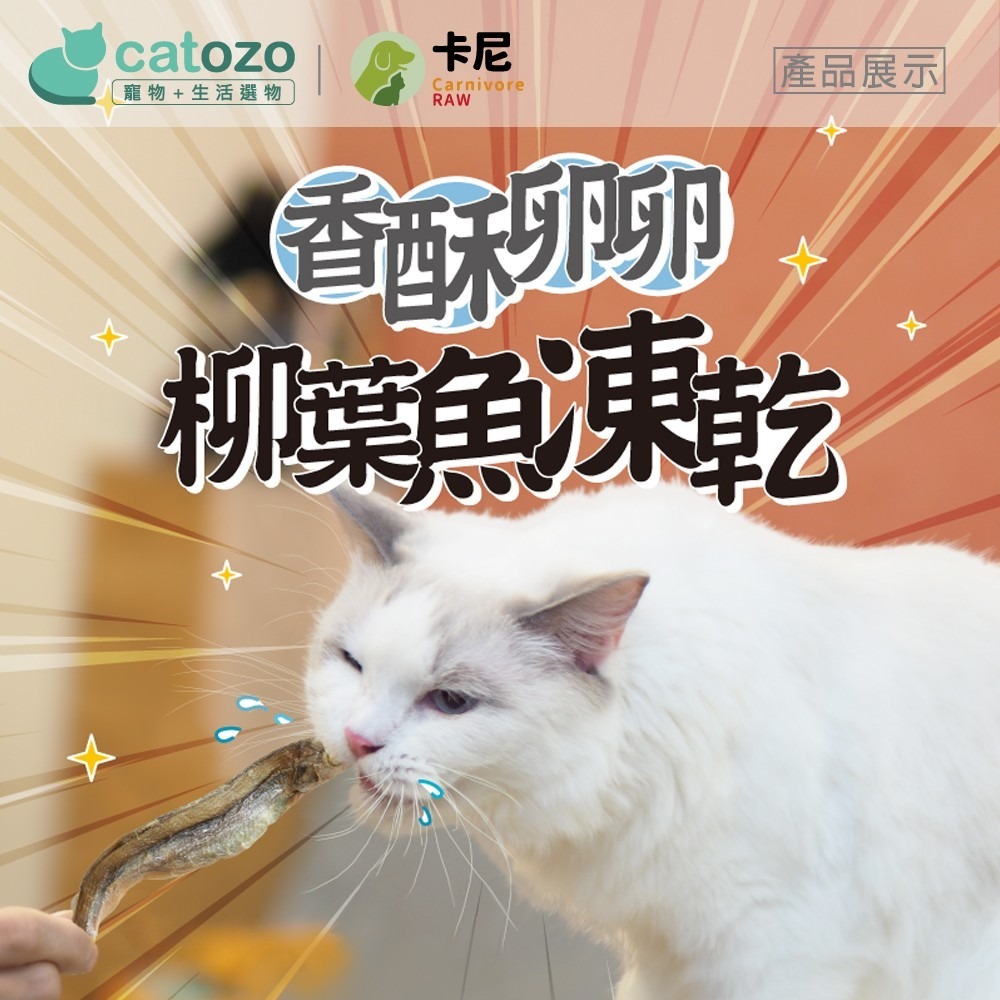【Catozo】卡尼 香酥卵卵柳葉魚凍乾-細節圖5