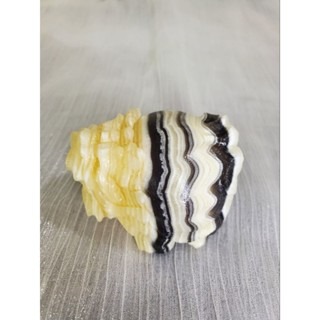 草花方解石龍龜 龍龜擺件 國畫龍龜 草花 黃方解 國畫 招財擺件-細節圖2