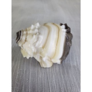 草花方解石龍龜 龍龜擺件 國畫龍龜 草花 黃方解 國畫 招財擺件-細節圖2