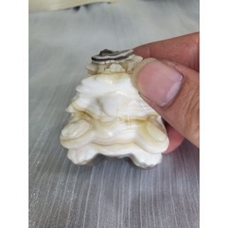 草花方解石龍龜 龍龜擺件 國畫龍龜 草花 黃方解 國畫 招財擺件-細節圖3