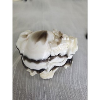 草花方解石龍龜 龍龜擺件 國畫龍龜 草花 黃方解 國畫 招財擺件-細節圖2