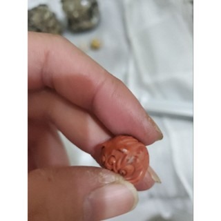 阿拉善 醒獅頭  花盆擺件 阿拉善擺件-細節圖3