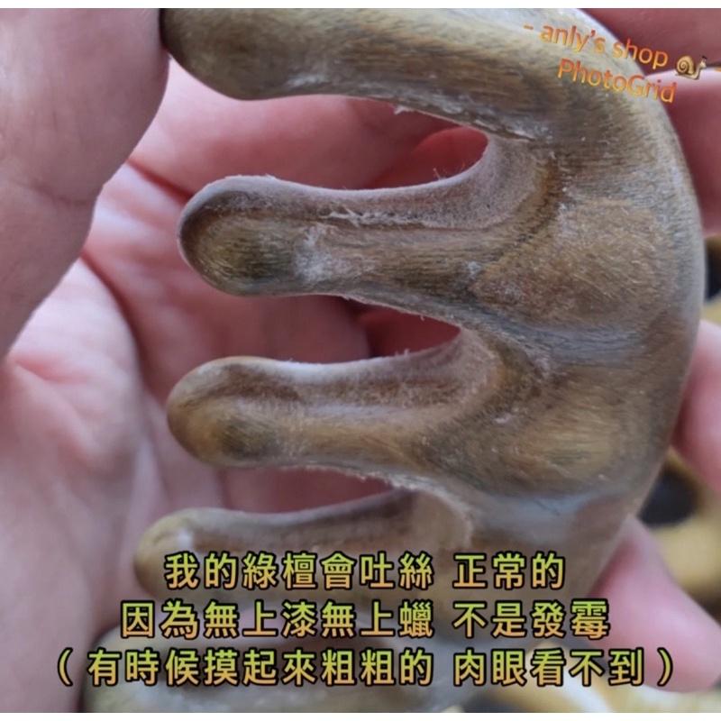 【艾美莎莎】現貨精品 綠檀按摩梳 綠檀木梳 寬齒 綠檀魚骨木梳 綠檀魚骨經絡梳 頭部指壓按摩 綠檀木按摩梳 綠檀大齒梳-細節圖8