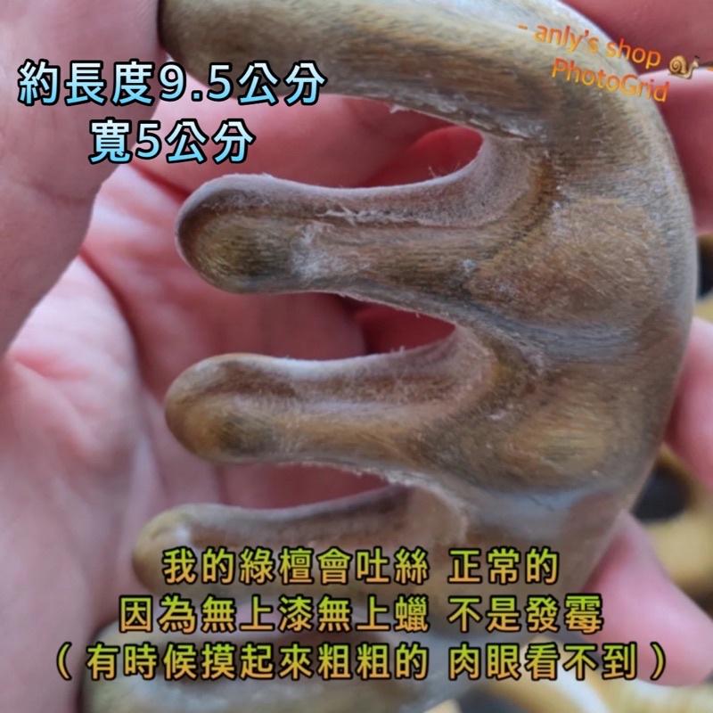 艾美莎莎💞現貨 小飛象按摩梳 檀木按摩梳 綠檀梳加厚按摩梳子 頭部放鬆舒壓按摩梳 經絡按摩梳 經絡梳 淋巴排毒經絡疏通-細節圖8