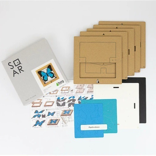 質感紙藝材料包♡簡單手作療癒靜心-昆蟲系列 日本製造-細節圖3