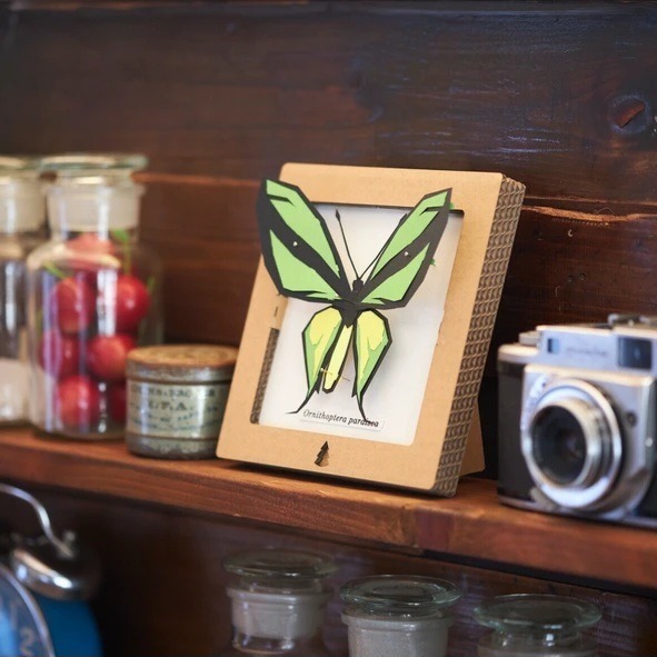 質感紙藝材料包♡簡單手作療癒靜心-昆蟲系列 日本製造-規格圖4