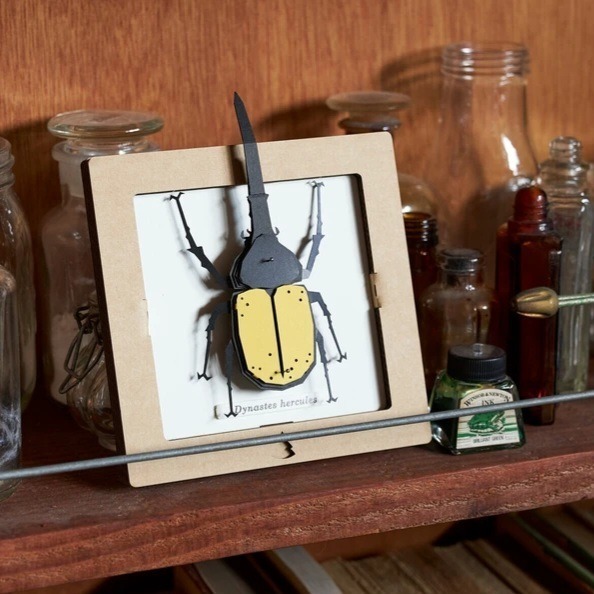 赫克力士長戟大兜蟲