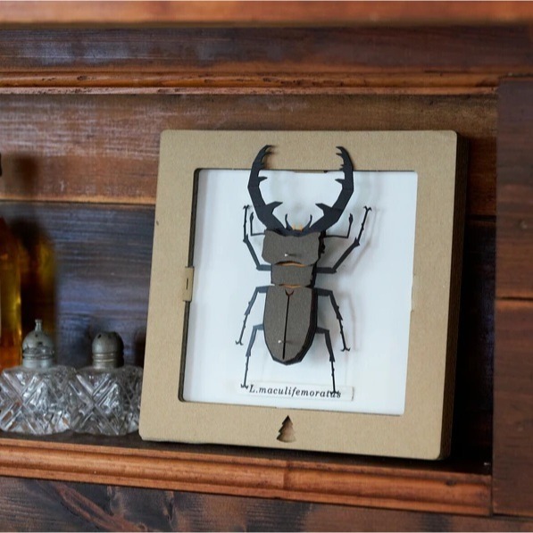 質感紙藝材料包♡簡單手作療癒靜心-昆蟲系列 日本製造-規格圖4