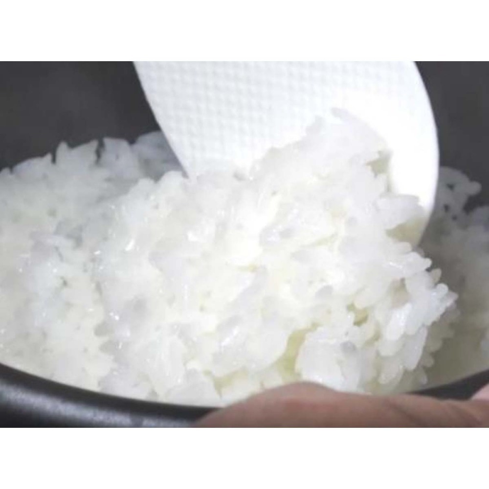 24hr出貨🦔日本製 HACHI 有田燒 直火煮飯鍋 大慶 1合炊 2合炊 3合炊 微波爐煮飯鍋 陶鍋 土鍋 煮飯鍋-細節圖8