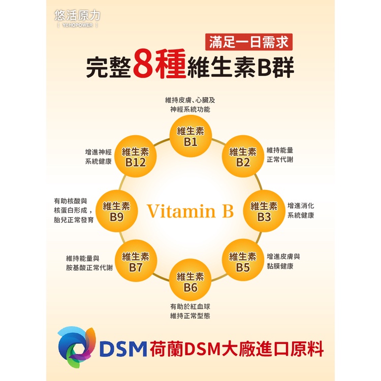 悠活原力 緩釋長效 綜合維生素 b12 維他命 維生素 b群 緩釋長效 綜合維生素B群 緩釋膜衣錠 (60粒/-細節圖5