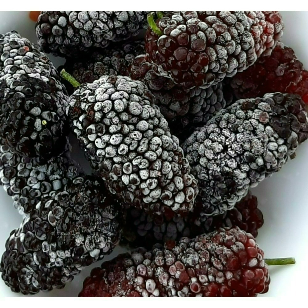 【樂農發】產銷履歷冷凍生鮮桑椹（400公克×6盒）4台斤／箱-細節圖3