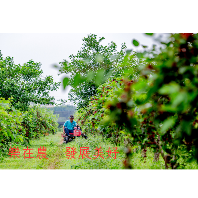 【樂農發】桑椹禮盒(附提袋)｜果醋×果醬×果漿｜-細節圖5