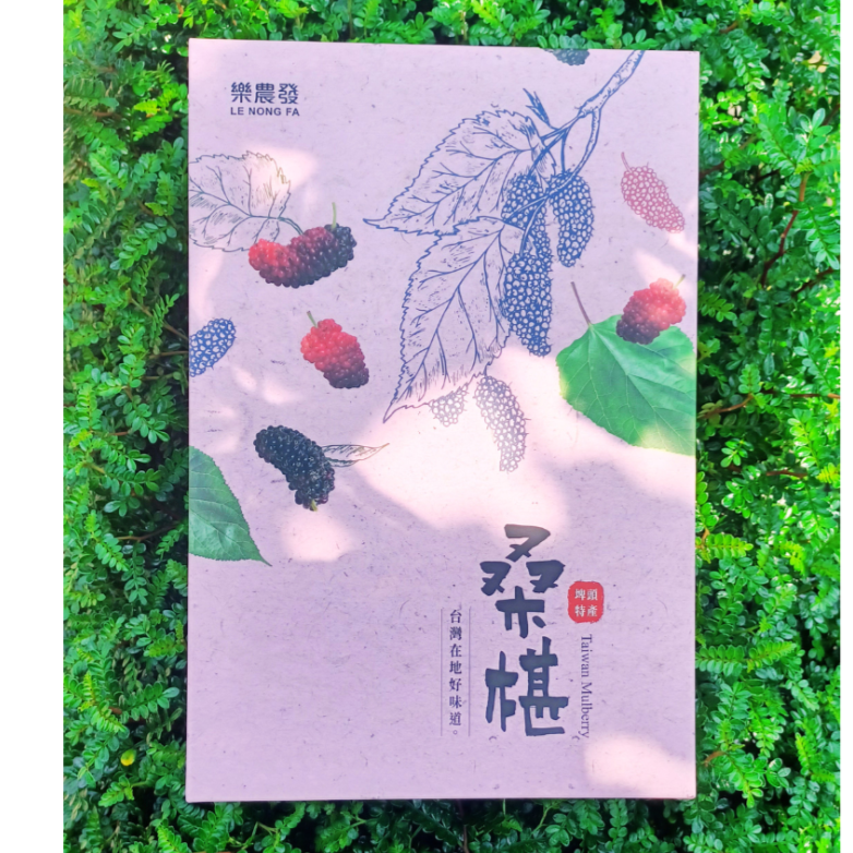 紫黑桑椹醋2入禮盒(600毫升/瓶╳2瓶)-細節圖4