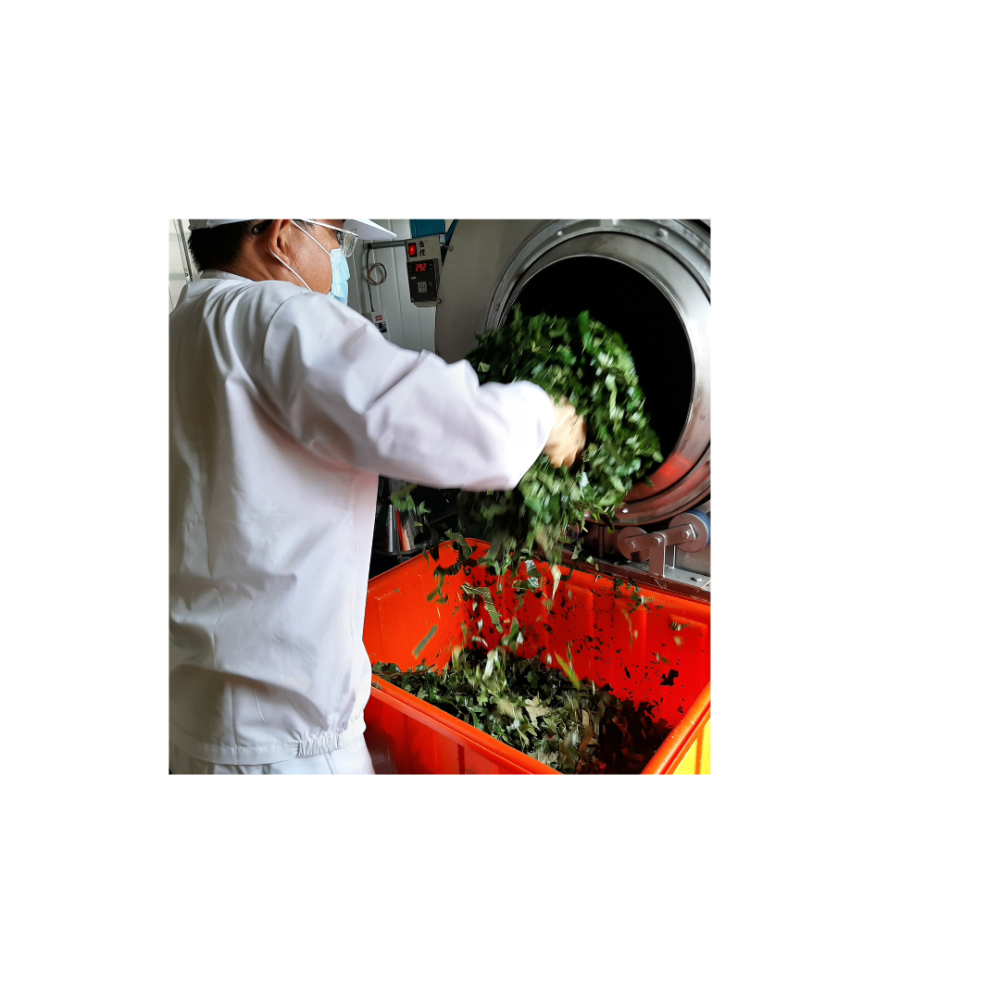 枸杞枝葉茶包 (3公克/包Ｘ12包/袋)Ｘ2袋/組-細節圖2