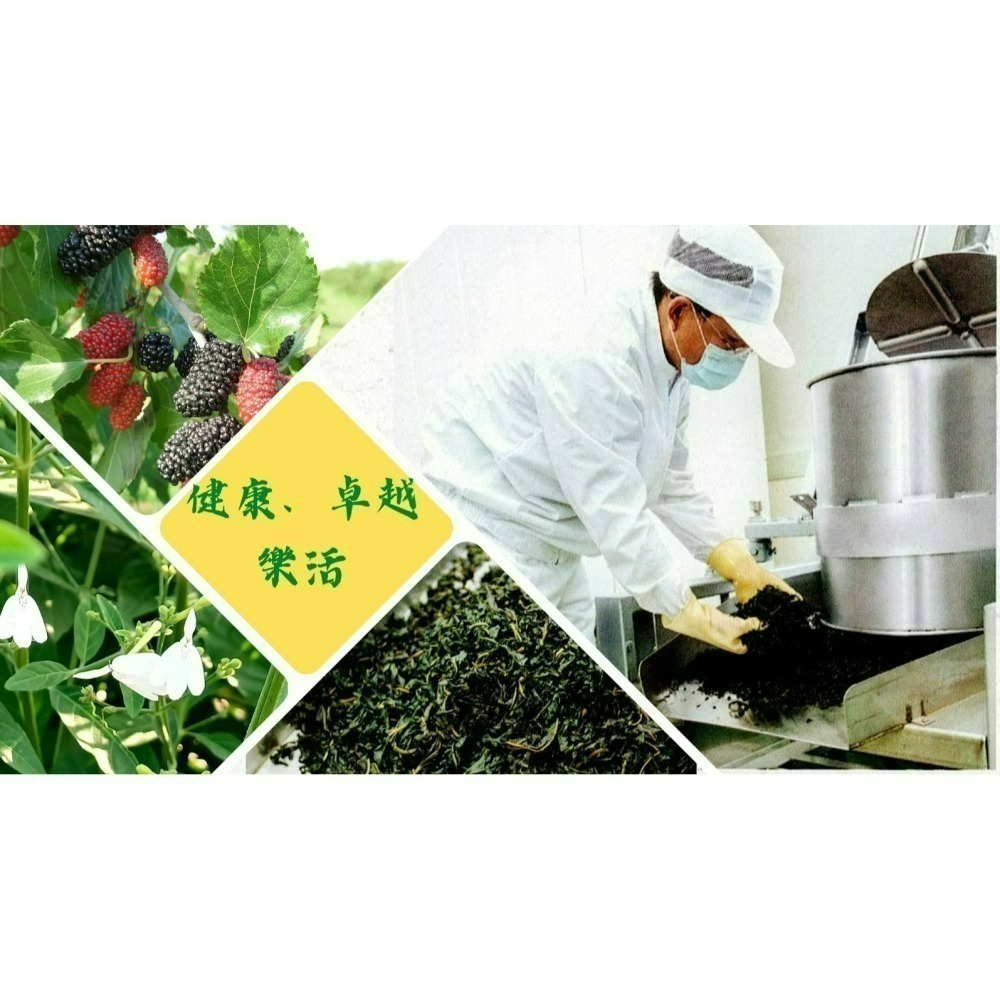 枸杞枝葉茶包 (3公克/包Ｘ12包/袋)Ｘ2袋/組-細節圖3