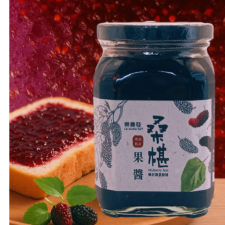 【樂農發】桑椹禮盒｜果醬+果漿雙瓶組｜優格抹醬｜天然果泥 精緻送禮推薦-細節圖4