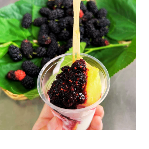 【樂農發】冷藏桑椹果泥200公克/盒-細節圖6