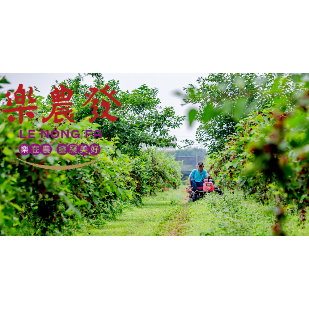 【樂農發】冷藏桑椹果泥200公克/盒-細節圖7